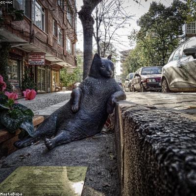 Foto di Martina Rossi